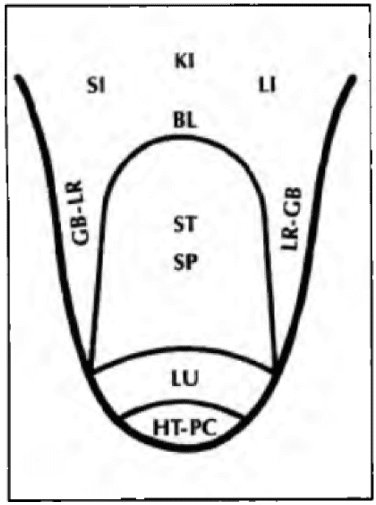 Pembagian area lidah (Tongue areas)